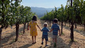 Kids walking through a winery in Napa
