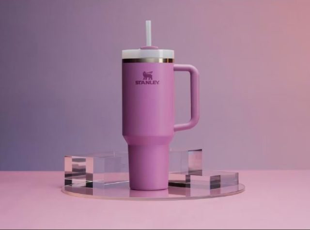 purple stanley tumbler