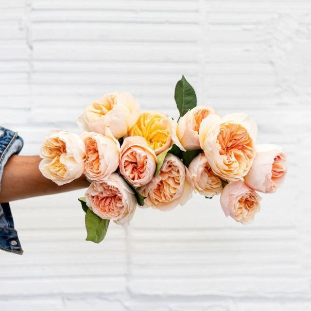 hand holding yellow roses
