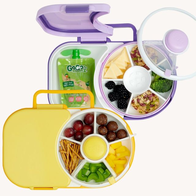 two williams-sonoma lunch boxes