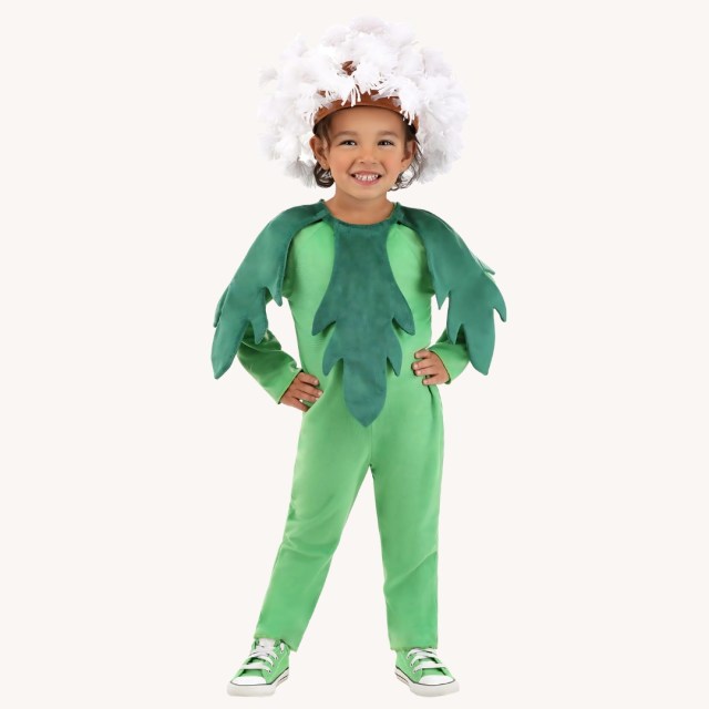 Toddler Halloween Costumes Dandelion