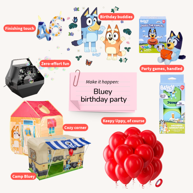Kids Birthday Party Ideas Bluey birthday party