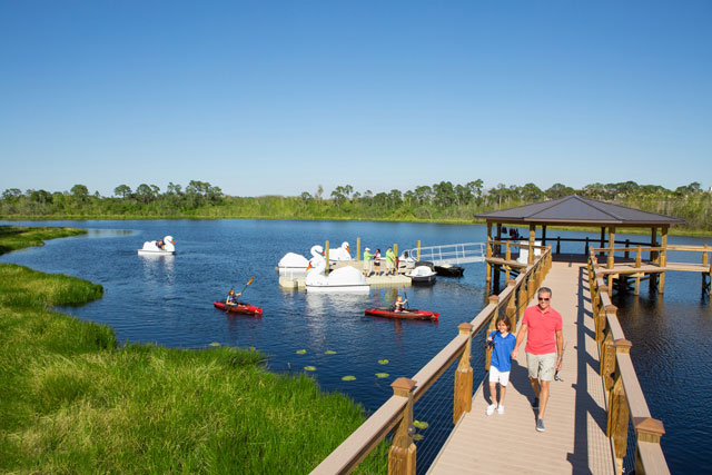 The Grove Resort & Water Park