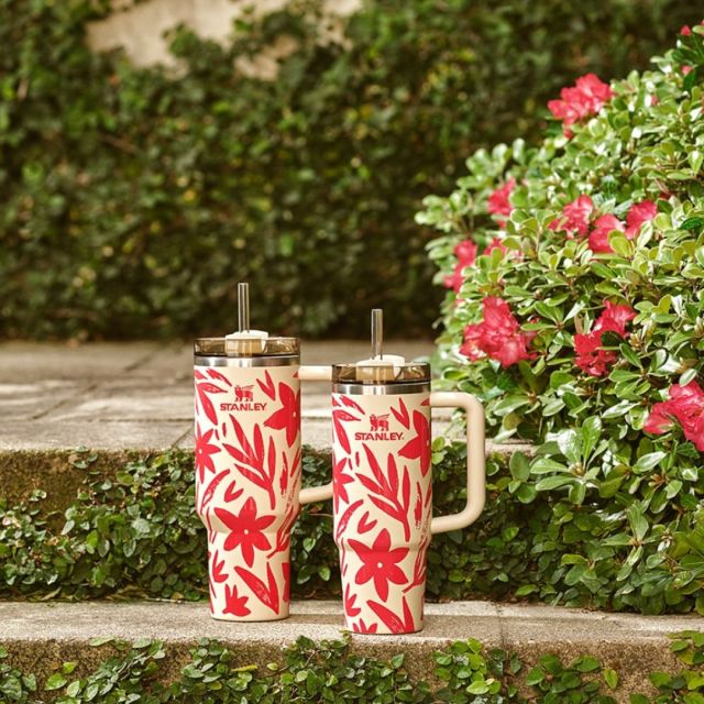 two stanley tumblers