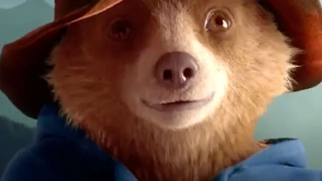 A picture of Paddington Bear, which is a new family movie coming in 2025