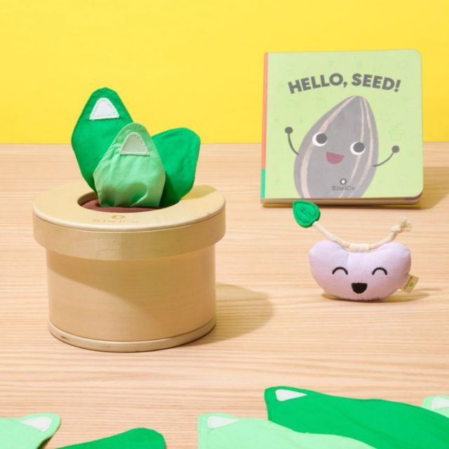 set of toy tissue leaves and book