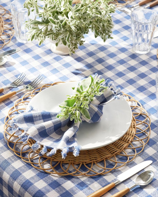 a blue gingham-themed table setting from serena & lily