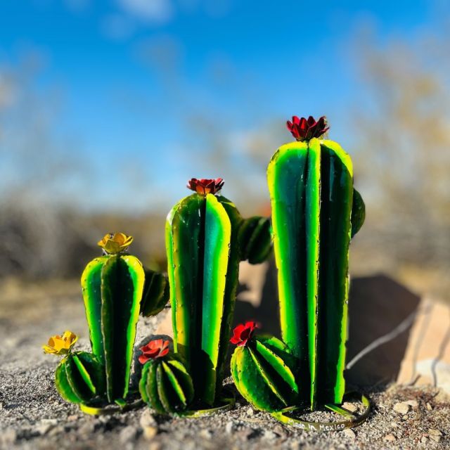 three metal cacti displayed outside in a desert setting
