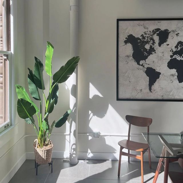 large bird of paradise faux plant in front of window