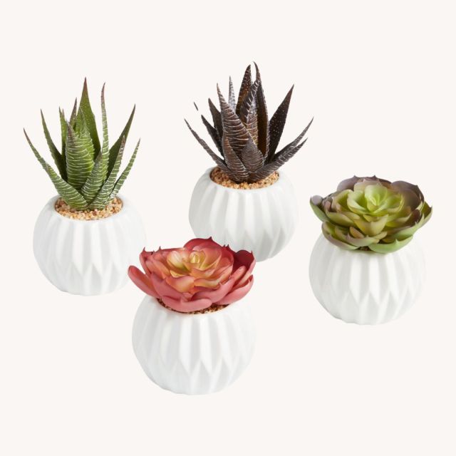 set of 4 faux succulents in white pots