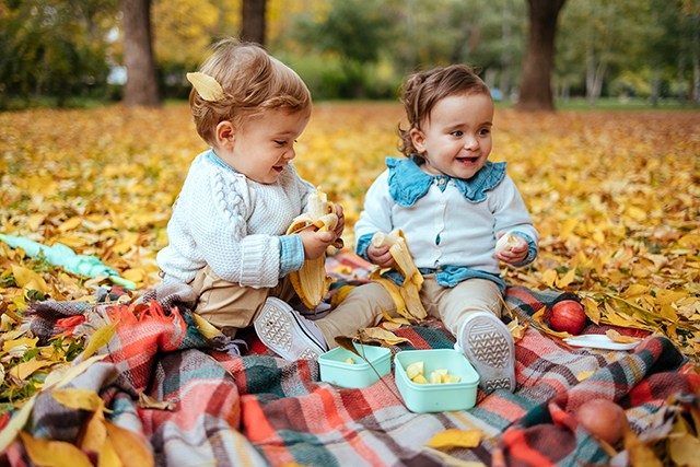 Two babies eating bananas on a picnic blanket in the park, one of the best autumn family activities