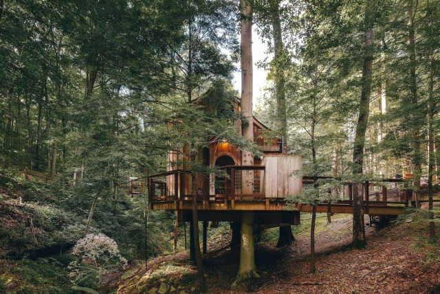a treehouse style airbnb