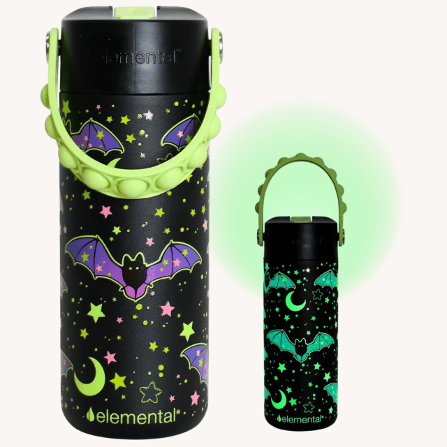 Boo Basket Elemental Core 18oz Insulated Kids Water Bottle Straw Lid & Pop It Handle