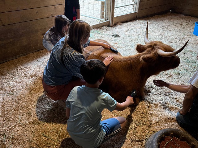 Highland Farms is a family must on an Oregon road trip