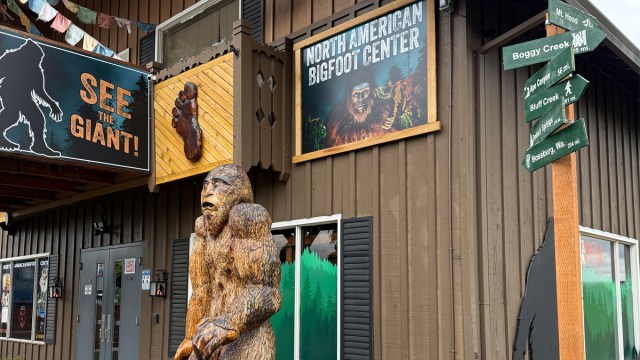 The North American Bigfoot Center in Mt Hood Oregon is tons of fun for kids