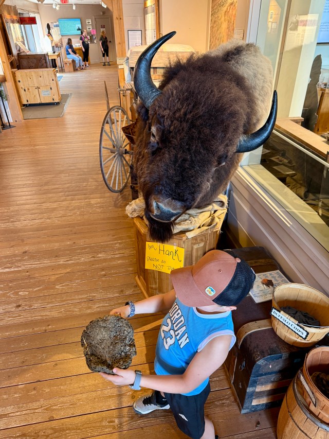A little kid holding bison poop on an Oregon road trip