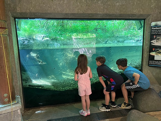 Wildwood Recreation Site is a great stop for families on an Oregon road trip