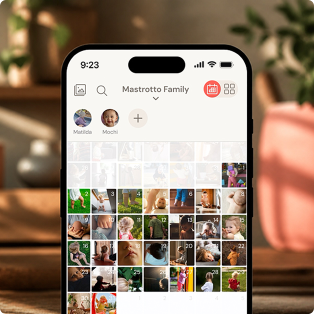 Keep everything organized